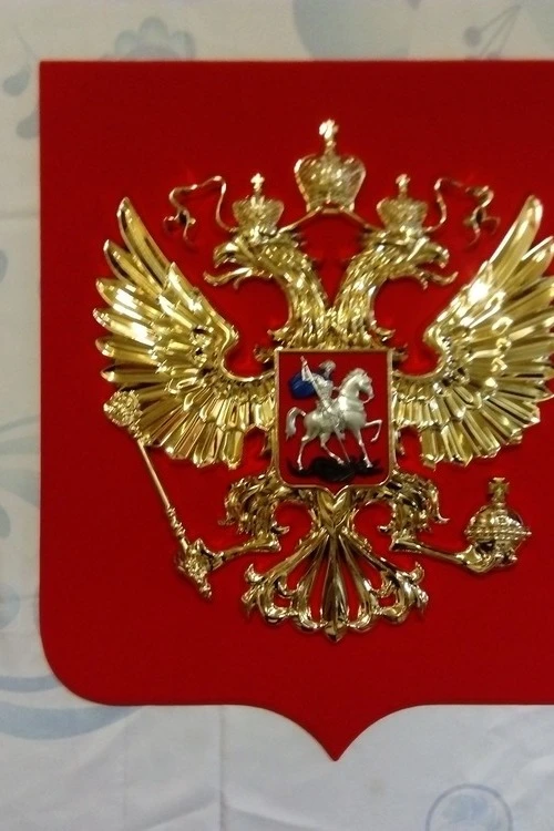 Герб РФ барельеф, размер 40х48 см, щит флокированный, металлонапыление#6