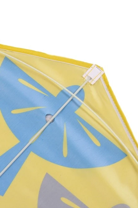 Воздушный змей Парус с полной запечаткой "Wings of Parma"#3 Воздушный змей Парус с полной запечаткой "Wings of Parma"#3