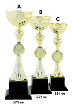 Купить кубок ИК0026 Купить кубок ИК0026