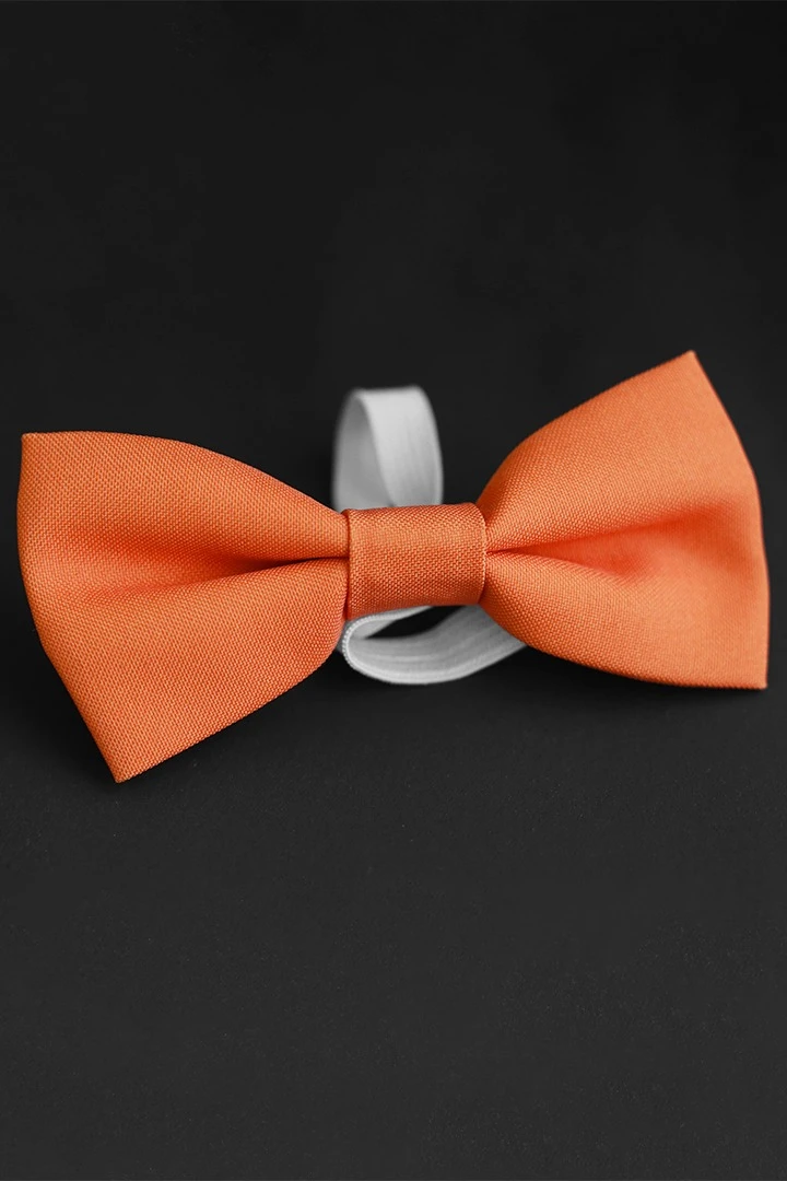 Галстук-бабочка Эксперт на резинке, однотонная#3