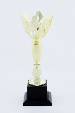 Кубок ИК0017#1 Кубок ИК0017#1