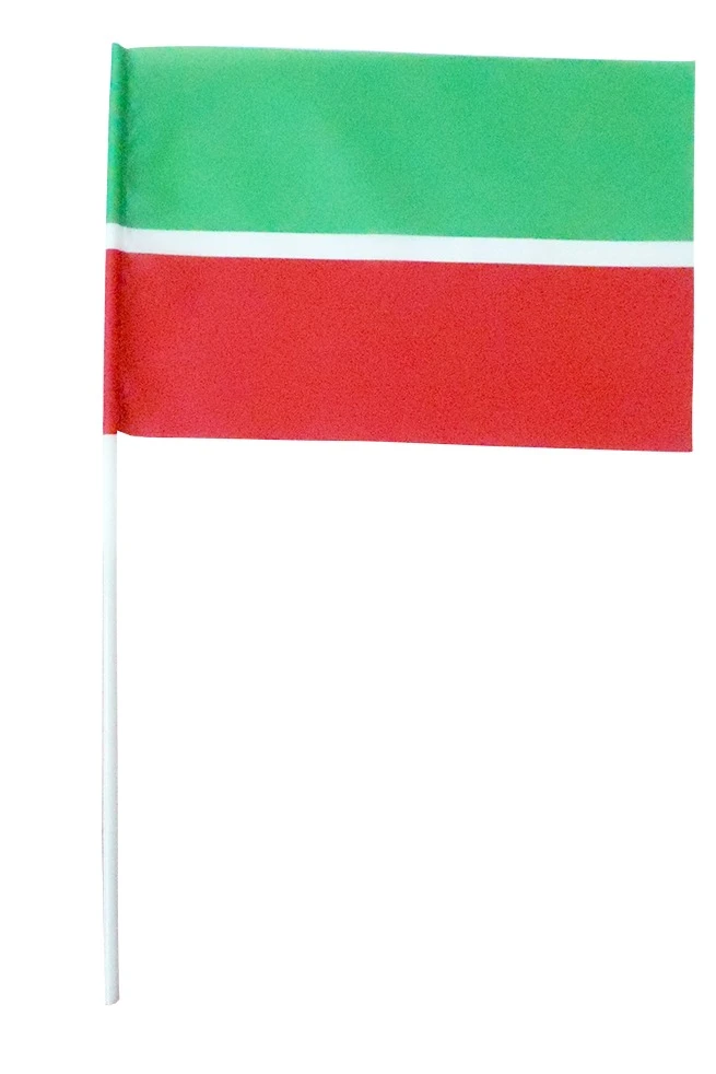 Флажок Татарстана#1