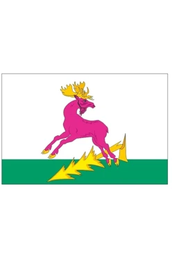 Купить флаг Алексеевского района республики Татарстан