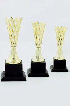 Кубок ИК0008#2 Кубок ИК0008#2