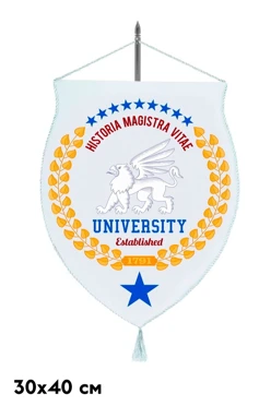 Купить вымпел щит печатный из шармуса со шнуром и кистью, 30х40 см Купить вымпел щит печатный из шармуса со шнуром и кистью, 30х40 см