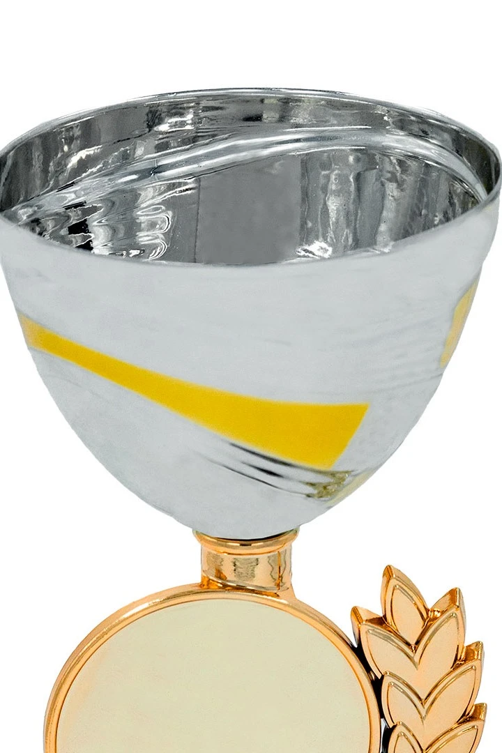 Кубок ИК0068#3