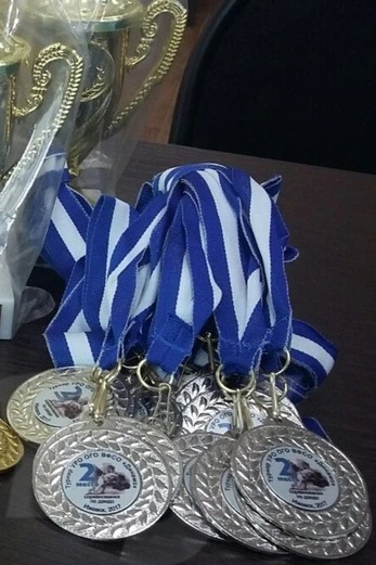 Лента для медали Динамо репс ширина 2,2 см, с карабином#2