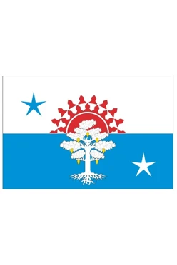 Купить флаг Серова