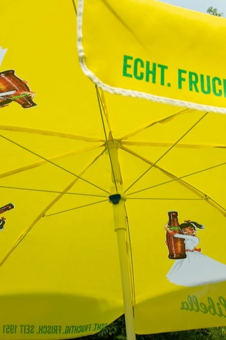 Купол для зонта Крит сублимационный#3