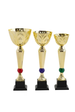 Кубок ИК0036#1 Кубок ИК0036#1