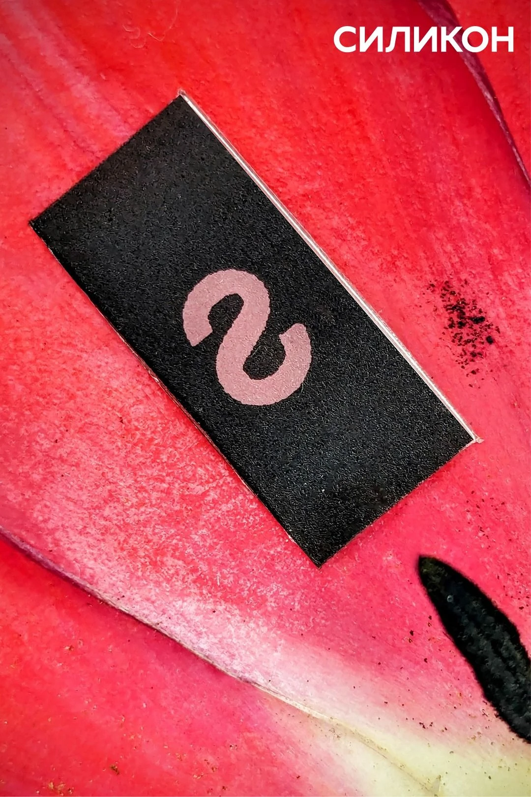 Бирка с термотрансферной печатью 1х2 см, печать с одной стороны#3