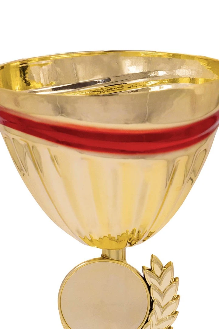 Кубок ИК0066#3 Кубок ИК0066#3