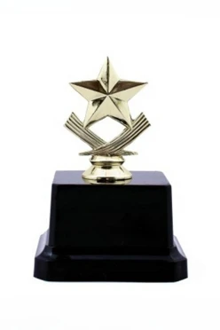 Купить приз Звезда F430-G (5,5см)