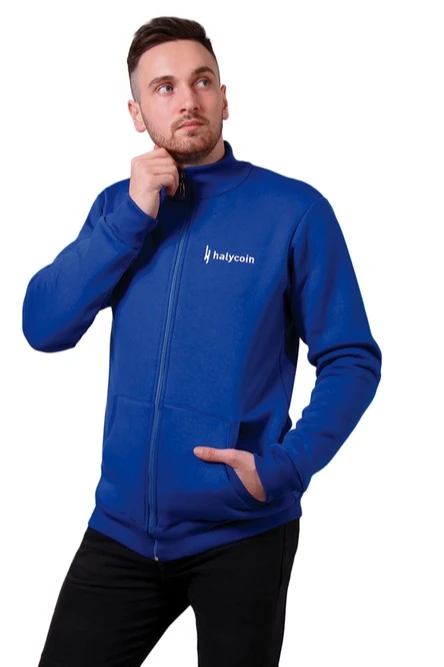 Толстовка Томас из футера унисекс, однотонная "Halycoin"#1