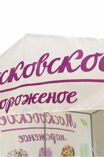 Палатка для промоакции и торговли (без козырька) 2х3 м#1