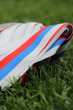 Лента триколор 25 см, шириной 3,5 см#2