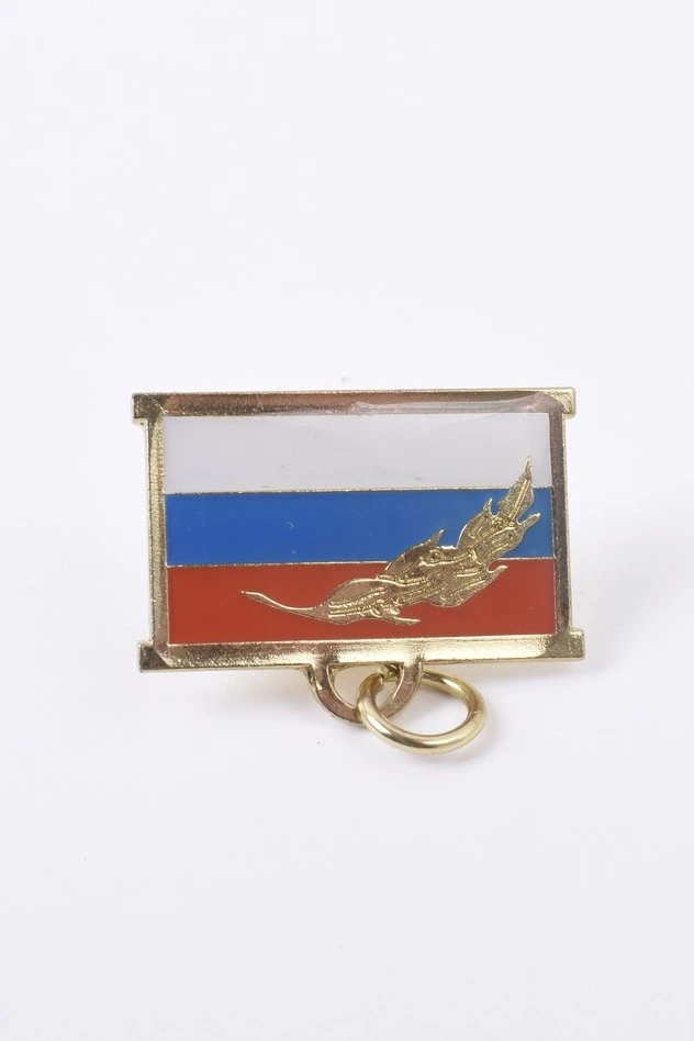 Купить колодку флаг РФ золотая ветвь Купить колодку флаг РФ золотая ветвь