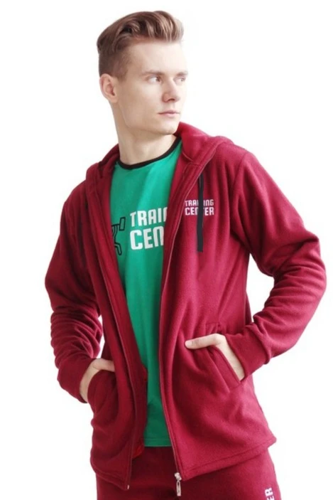 Купить толстовку Харисон "Tarining Centr" унисекс