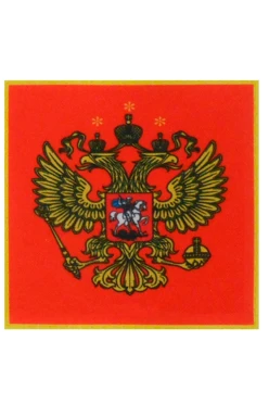 Купить шеврон квадратный печатный 25х25 см