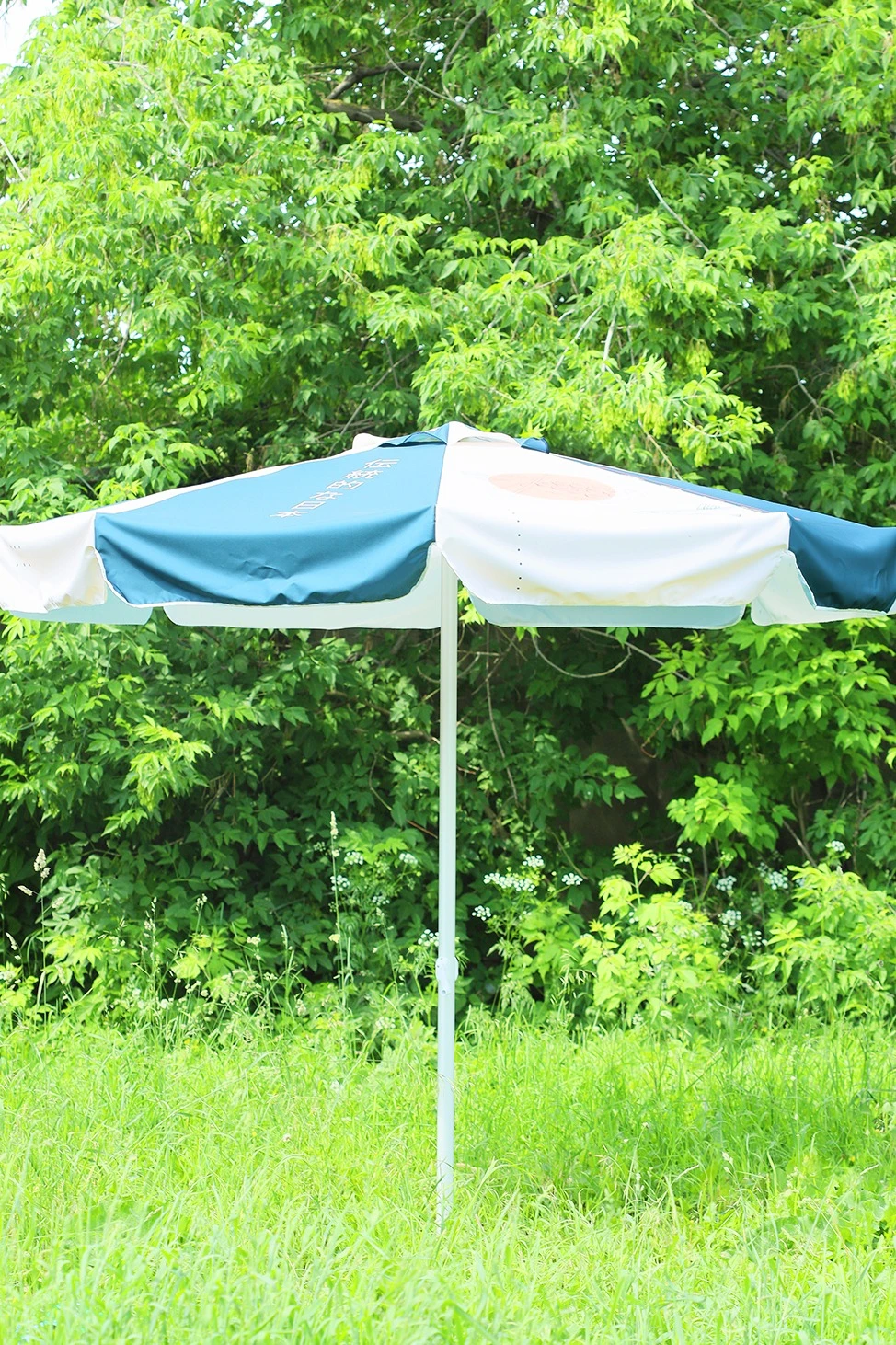 Купол для зонта Ницца сублимационный#2