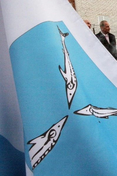 Флаг Саратова#2