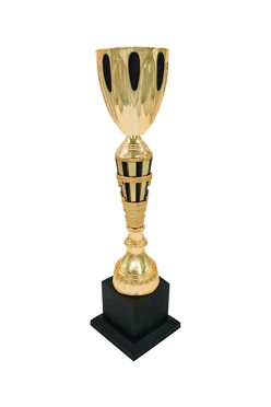 Кубок ИК0084#1 Кубок ИК0084#1