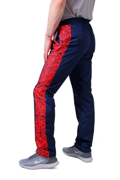 Купить брюки Олимпик спортивные унисекс с полной запечаткой "Dragons"