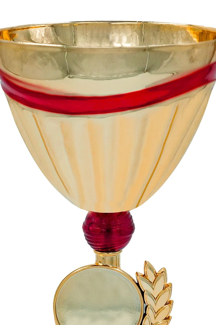 Кубок ИК0063#4