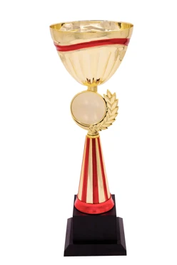 Кубок ИК0066#1 Кубок ИК0066#1