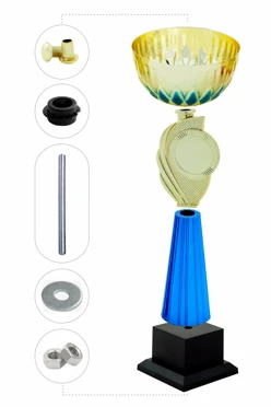 Кубок ИК0031#2 Кубок ИК0031#2