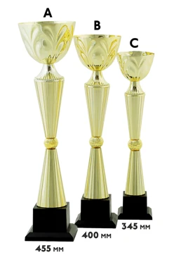 Купить кубок ИК0022 Купить кубок ИК0022