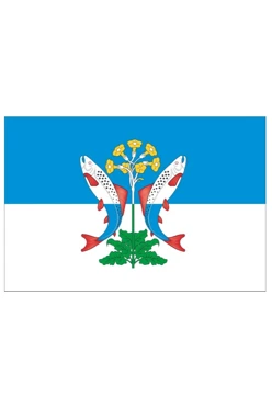 Купить флаг Шалинского района