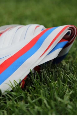 Лента триколор 50 см, шириной 2,4 см#2