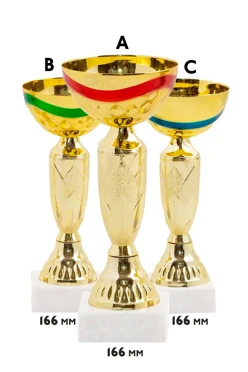 Купить кубок ИК0033 Купить кубок ИК0033