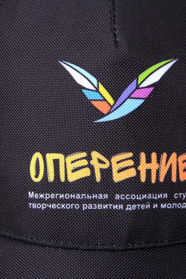 Бейсболка Стандарт взрослая с полной запечаткой (полиэстер) "Plumage"#1 Бейсболка Стандарт взрослая с полной запечаткой (полиэстер) "Plumage"#1