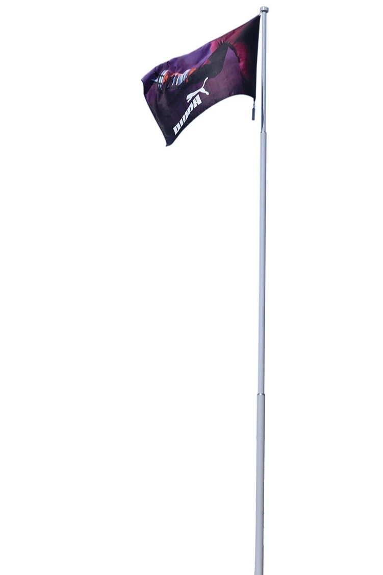 Флагшток алюминиевый с закрытым механизмом 9 м (покраска), Нептун#2