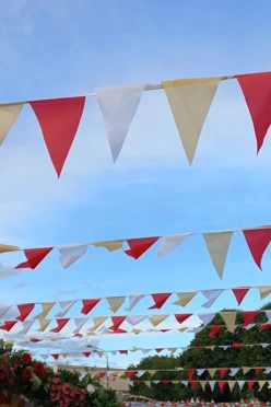 Флажная лента без символики, треугольник#1