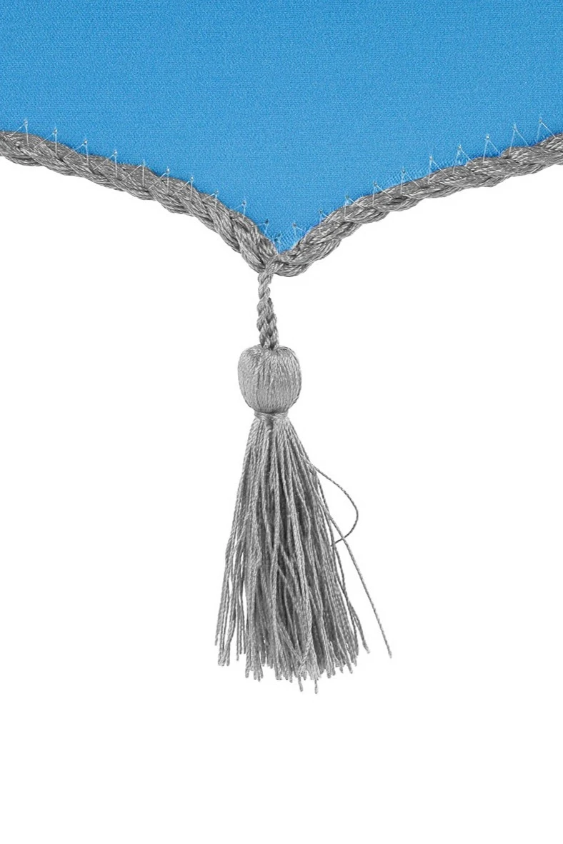 Вымпел Герб печатный  со шнуром, декоративная кисть, 15х22 см#1