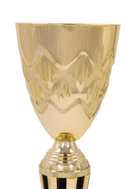 Кубок ИК0083#1 Кубок ИК0083#1