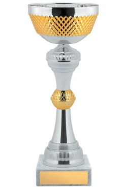 Кубок КМ2431#2