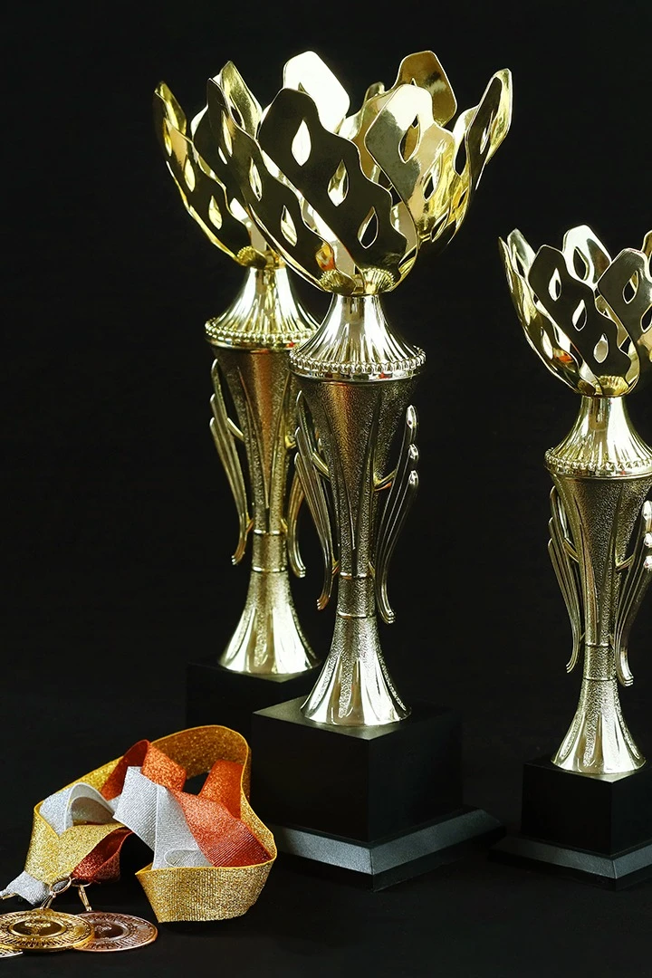 Кубок ИК0015#6