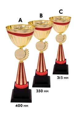 Купить кубок ИК0066 Купить кубок ИК0066