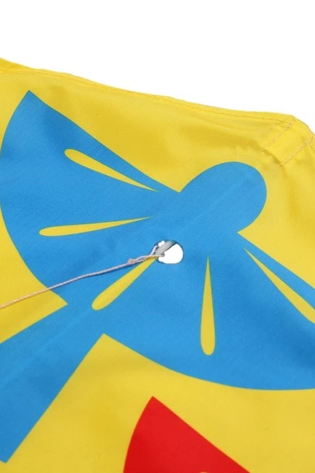 Воздушный змей Парус с полной запечаткой "Wings of Parma"#1 Воздушный змей Парус с полной запечаткой "Wings of Parma"#1