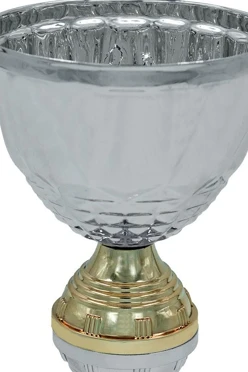 Кубок ИК0070#2 Кубок ИК0070#2