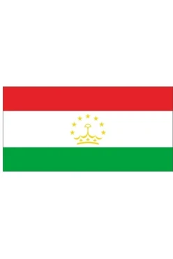 Купить флажок Таджикистана