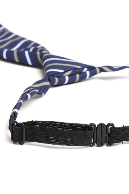 Галстук Райт на фурнитуре мужской, с полной запечаткой "Corinthia"#2