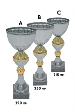 Купить кубок ИК0070 Купить кубок ИК0070