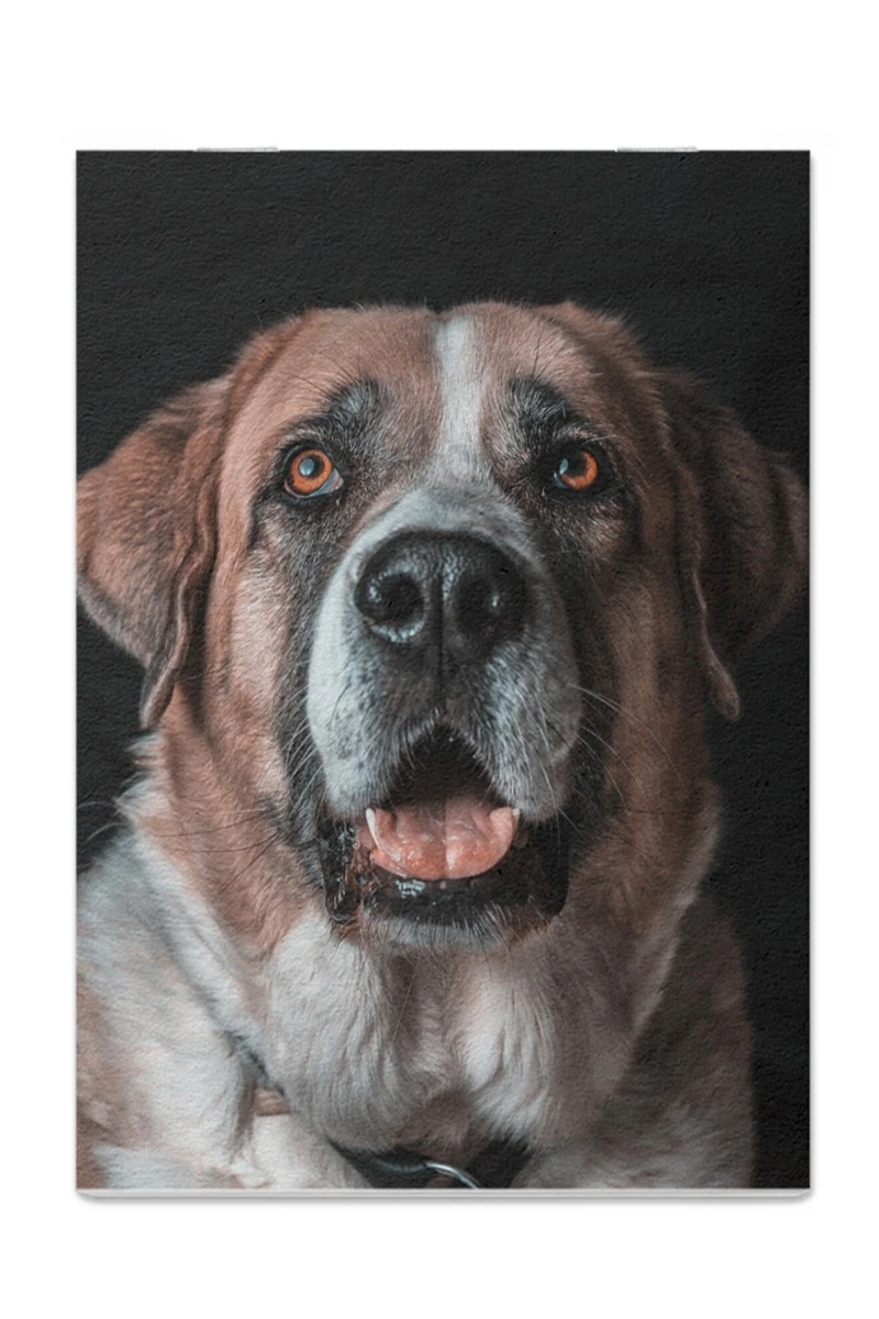 Блокнот фирменный А5 на скобе (40 листов без печати)#4