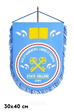 Купить вымпел печатный мягкий с бахромой 30х40 см Купить вымпел печатный мягкий с бахромой 30х40 см