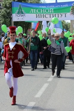 Купить однослойный транспарант 70х300 см оксфорд с карманами